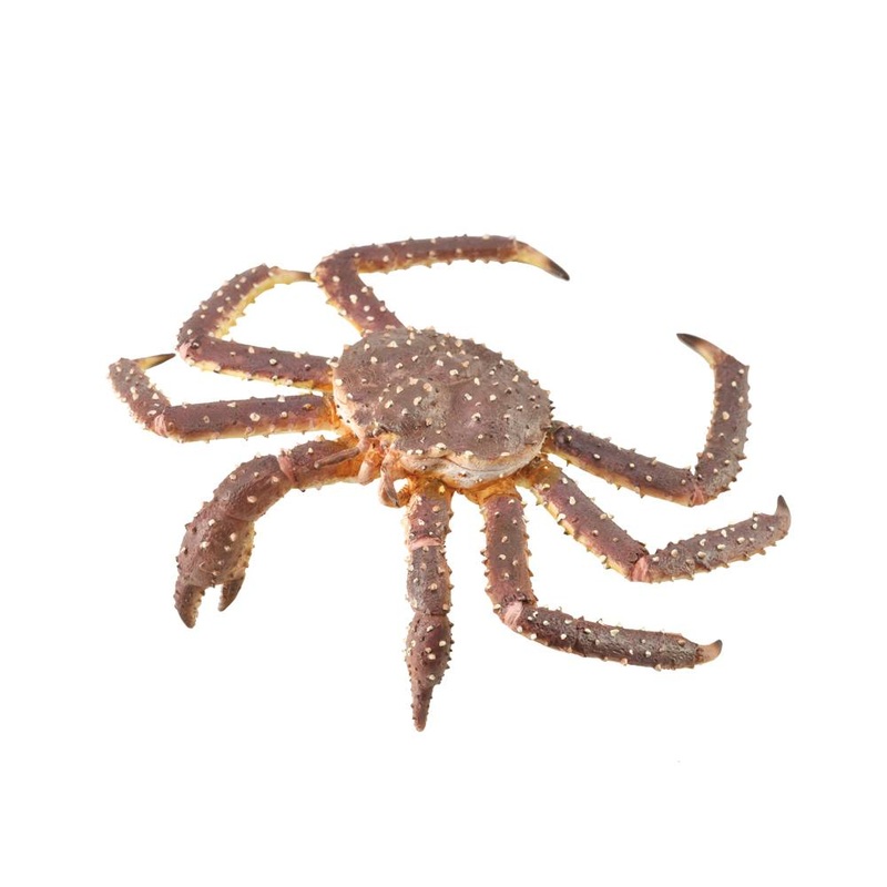 Next Product Image