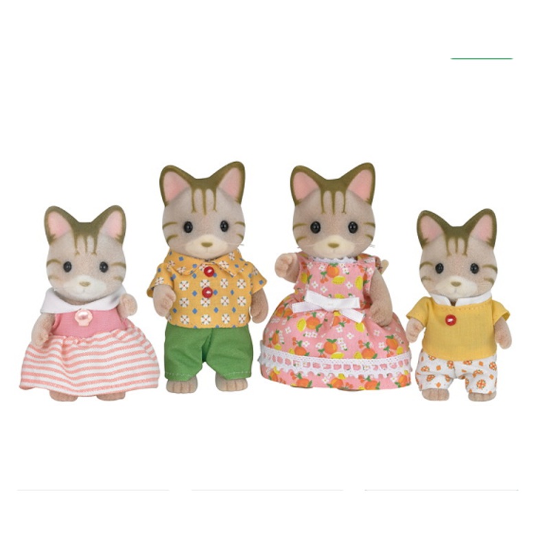 Sandy Cat Family