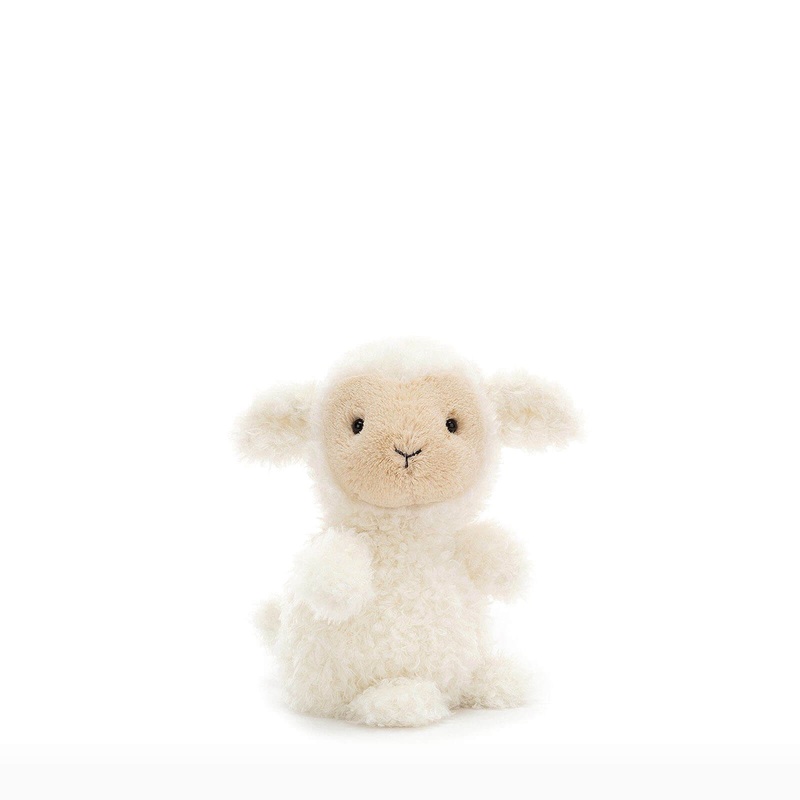 Next Product Image