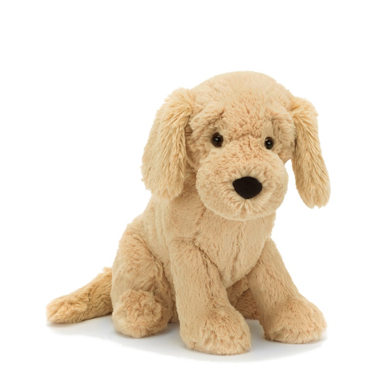 Tilly Golden Retriever
