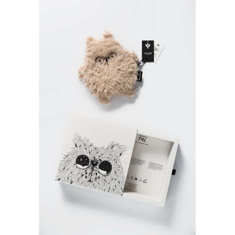 WONDER PALS Bear 2 in 1 – Hunny Brains
